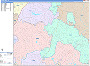 Johns Creek  Wall Map Color Cast Style